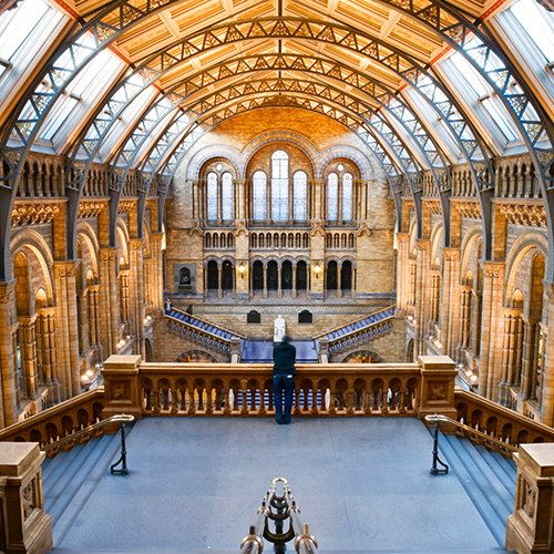 museum