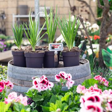 Splash-Proof Housing “Guard”