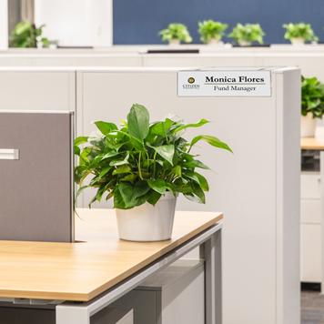 Cubicle Name Tag Holder